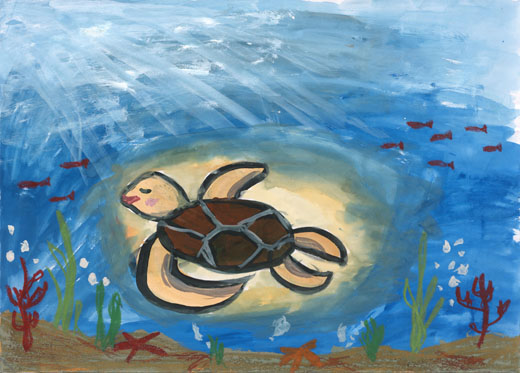 かわいいウミガメ