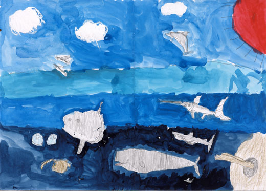 きれいな海の生きもの