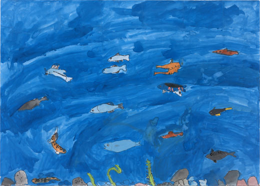 きれいな川の魚たち