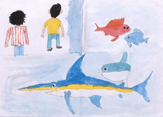 魚がけんこうにくらす海