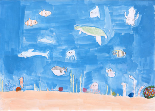 海のなかまたち