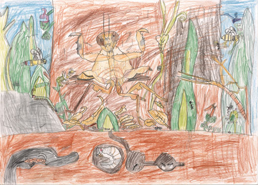 いかくをするカレハカマキリ