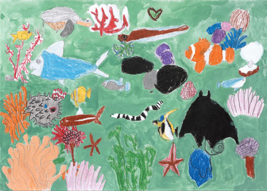 きれいな海のさんごしょう