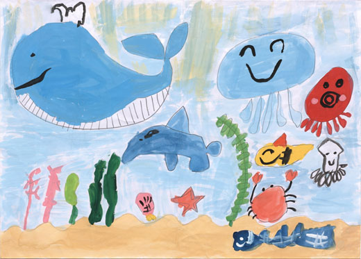 きれいな海と生きもの