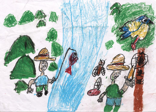 きれいな自然といろいろな生きもの