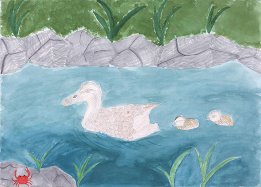 カルガモの親子