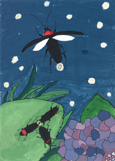 ホタルのいるかんきょう