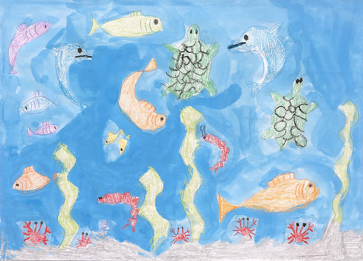 自然ゆたかな海