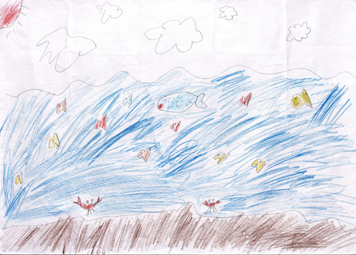 キレイな海がすきな生物