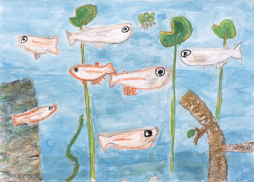 たのしそうにめだかがおよいでいる