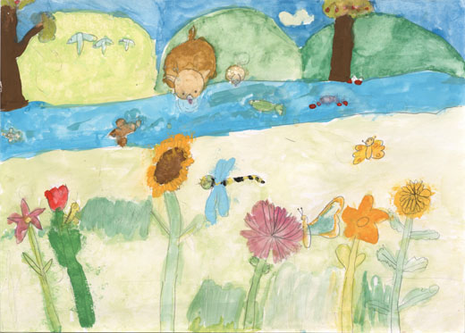 きれいなしぜんと生きものたち