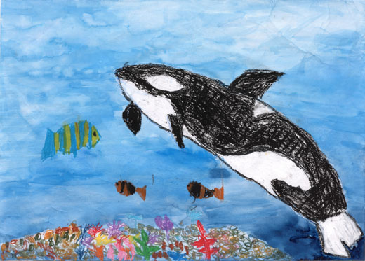 きれいな海とシャチ