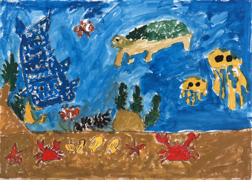 きれいな海のいきものたち