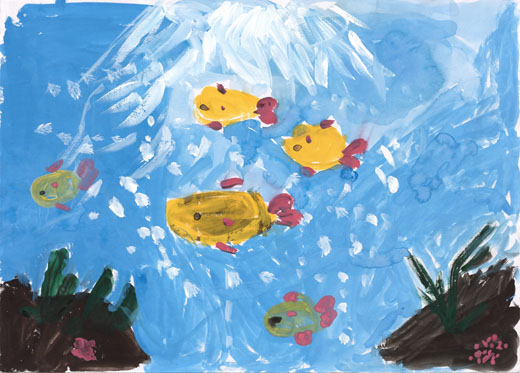 きれいな海の魚たち