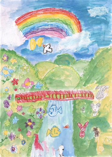 きれいなみずといきもの