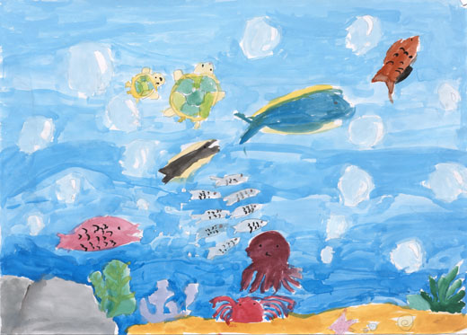 きれいな海と生きものたち