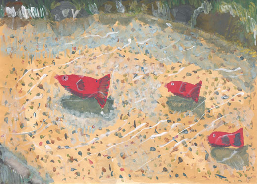 きれいな空気、きれいなしぜん