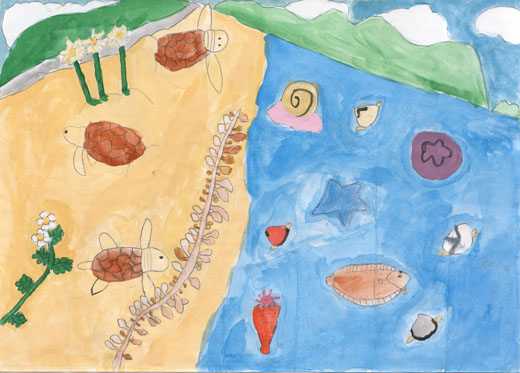 すなはまの生き物と、水の生き物