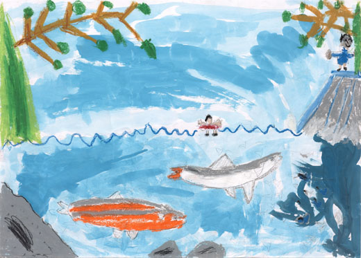 きれいな岩やどうの川