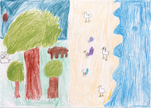 海の生きものと森の生きもの