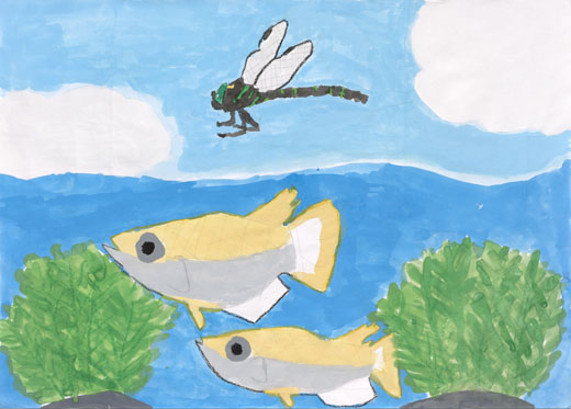 川の上を飛ぶコオニヤンマ