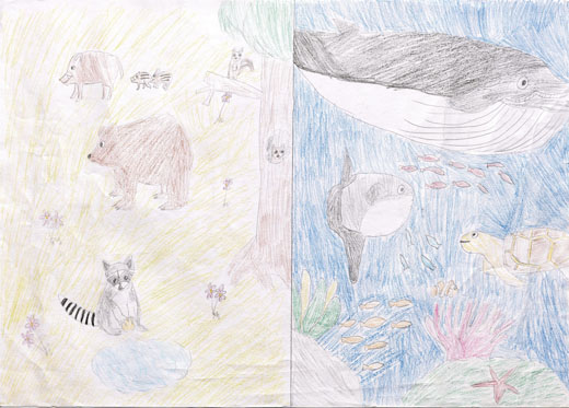 元気にくらす生き物達