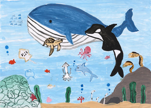 元気な海の生き物たち