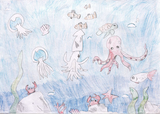 しぜんに負けない海の生き物たち