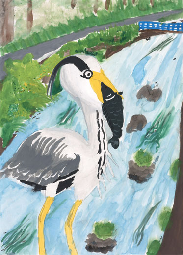 魚をとるアオサギ