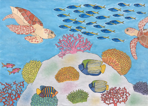 色とりどりのきれいな海