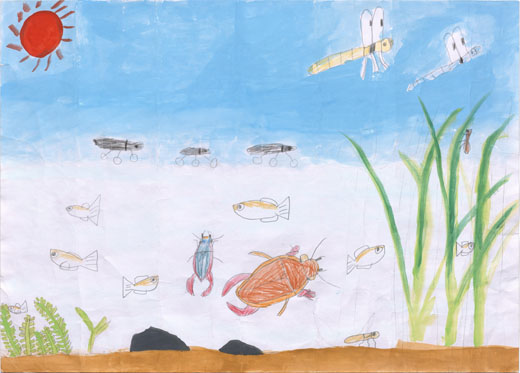 生き物がくらしやすいところ