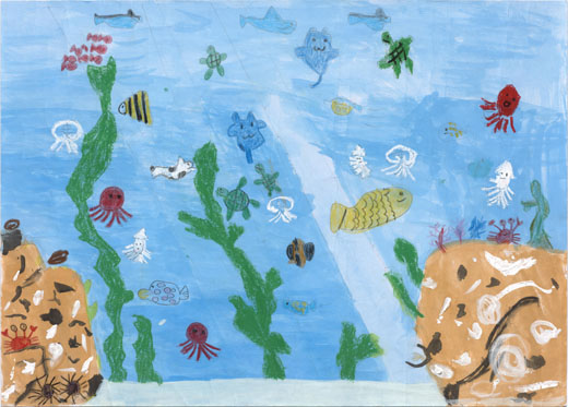 キレイな海で楽しく暮らす魚たち