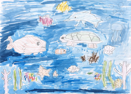 自由に暮らせる海