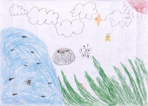 しぜんと生きもの