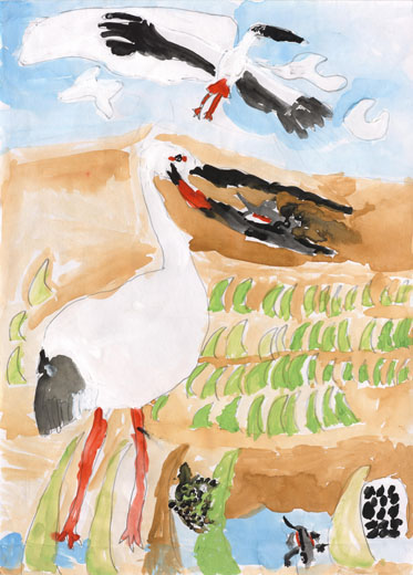 コウノトリに食べられたイモリ