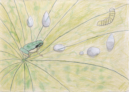 光る水と伸びゆく生き物