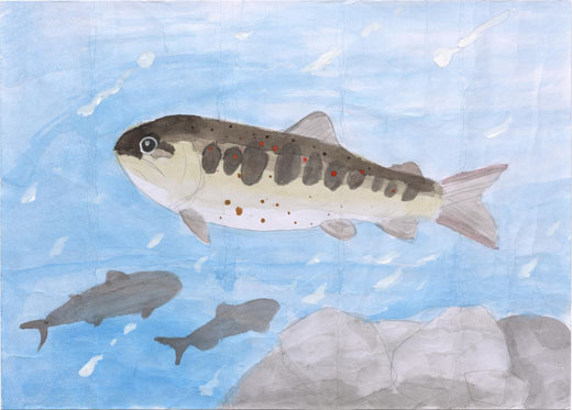 アマゴの住む川