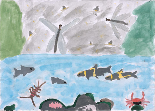 きれいな川の生物