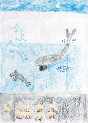 海にすんでいるいきものたち