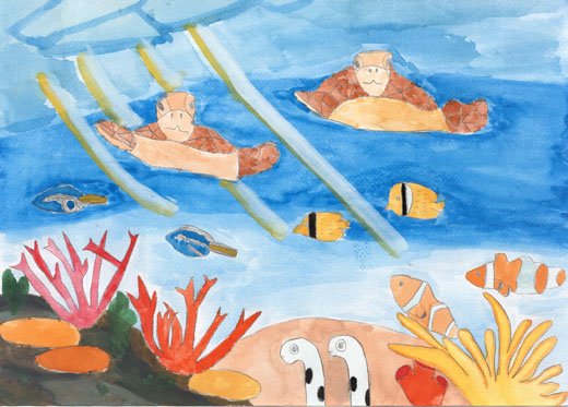 きれいな水とウミガメたち