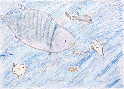 みんなげんきにおよいでるすがた