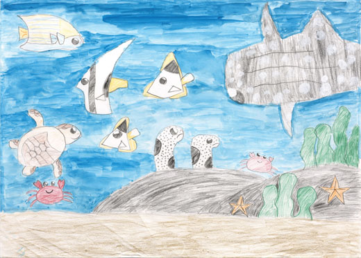 ジンベイザメとさかなたち