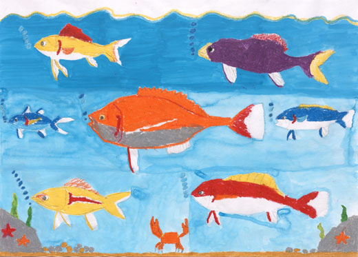 きれいな海にすむ魚