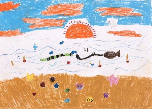 生きものいっぱいの砂浜