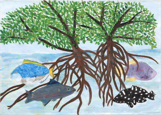 命を育むマングローブ