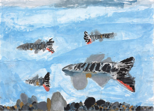 かわであそんでいるやまめ