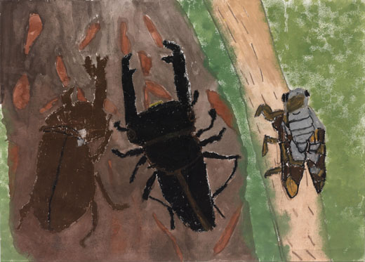 夏に注目！３びきの虫