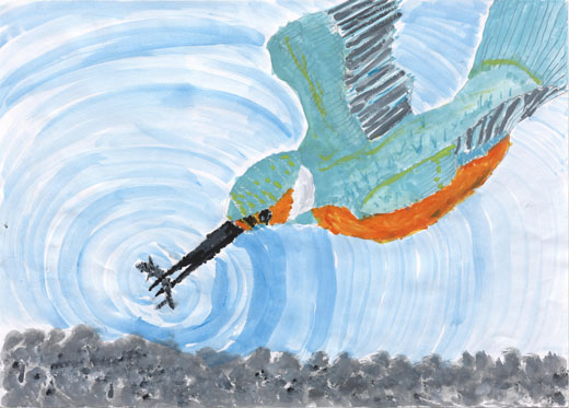 ぼくのすきなカワセミ