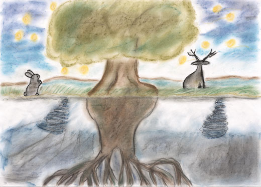 汚れた森戸綺麗な森