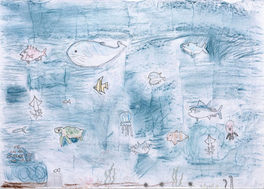 海の生きものたくさん